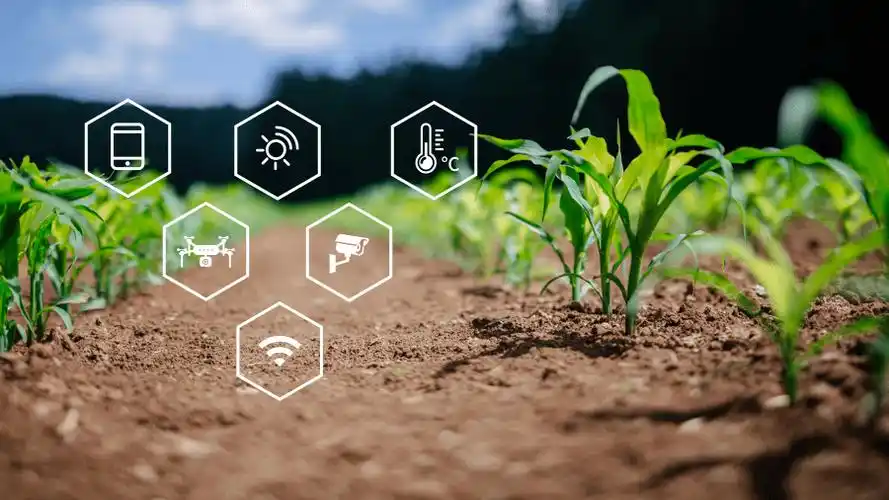 中国广电广州公司科普:5g智慧农业,如何改变我们的生活?