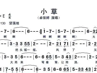 小草 版 卓依婷 歌谱 简谱