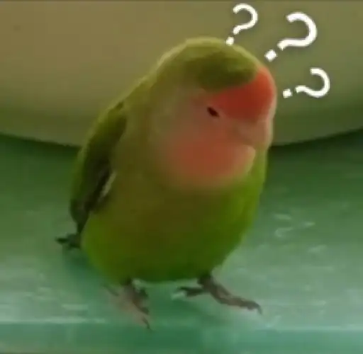 手养牡丹鹦鹉  #牡丹鹦鹉  自家逆子表情包