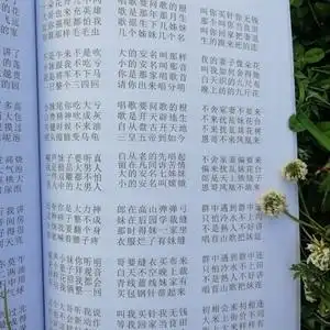 贵州山歌对唱书