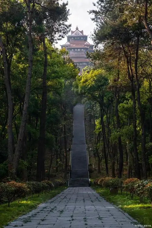 云南秘境:太保山公园的自然奇观