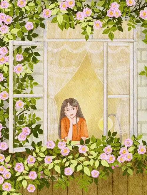 窗外的蔷薇花|治愈系小清新插画