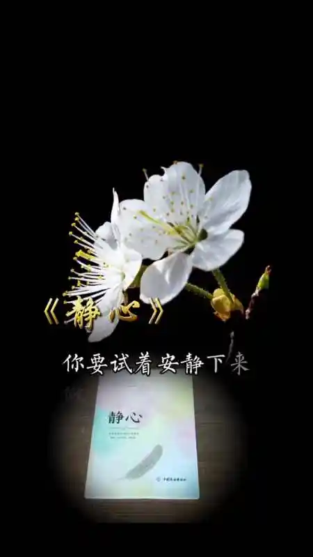 静心养性静心好书分享阅读