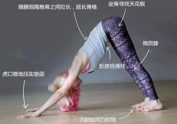 下犬式禁忌,血压异常/有眩晕病就不要做(姿势不对伤害身体)_探秘志