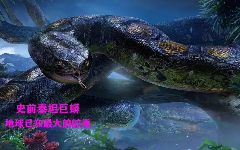 史前巨兽,地球已知最大蛇类 b>泰坦蟒 /b>,直接ko霸王龙