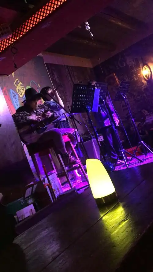 北京后海酒吧街的烈火麒麟酒吧,名字有点俗气,但是这个驻唱小姐姐真的