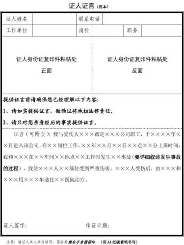 证人证言(范本)