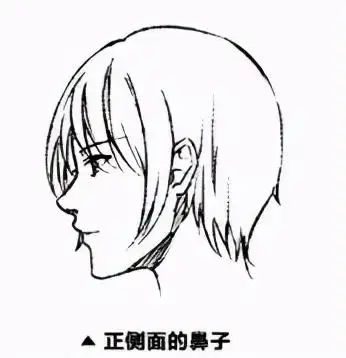 正侧面的鼻子:可以用倾斜的线条表现鼻梁的立体感.