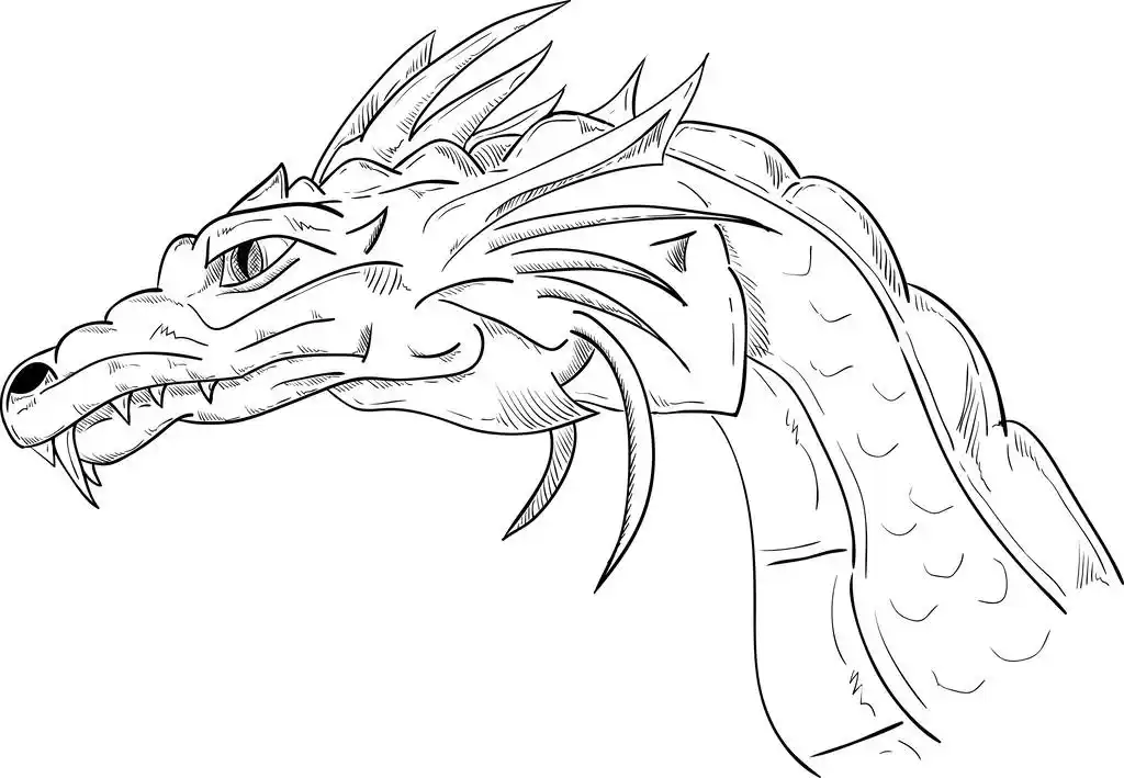 龙的头,矢量-龙头, 孤立的背景