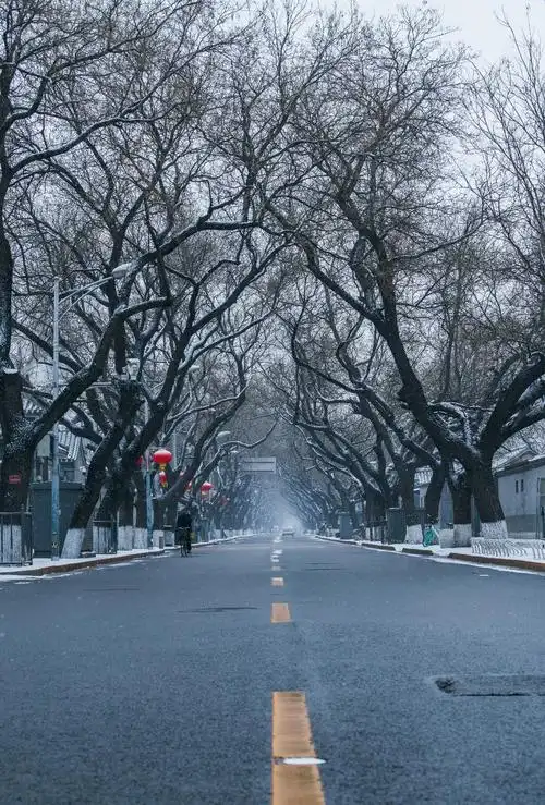 鼠年春雪满京城