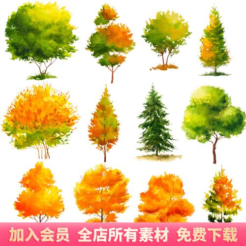 手绘水彩秋天树木大树植物png免扣ai矢量图片装饰画芯设计素材