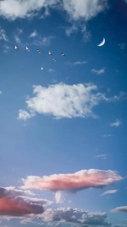 ins - 堆糖,美图壁纸兴趣社区