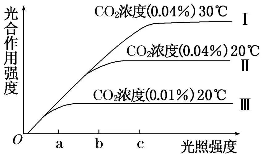 光照强度为 时,造成曲线Ⅱ和Ⅲ光合作用强度差异的原因是co 浓度不同