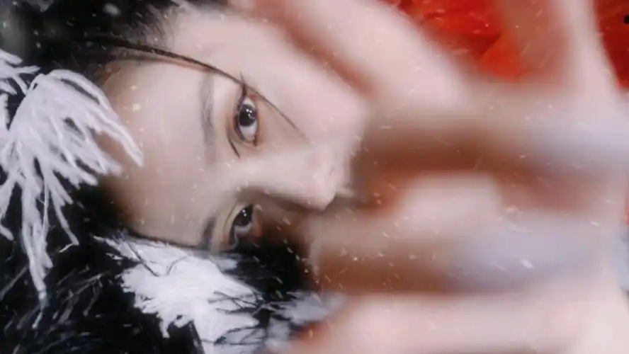 美神降临!jisoo solo 概念预告