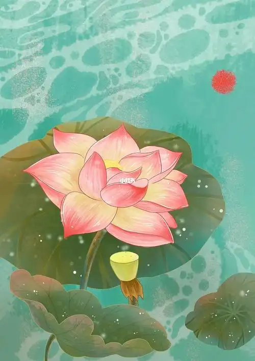 国风插画夏日荷花