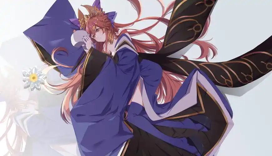 玉藻前玉藻前fate命运冠位指定1000用户登入