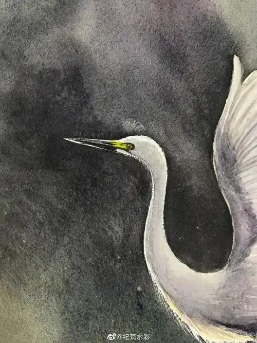 水彩步骤 | 可以出门的日子,是不是像这样飞出门_白鹭飞