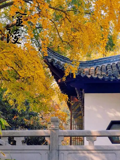 南京清凉山公园赏秋