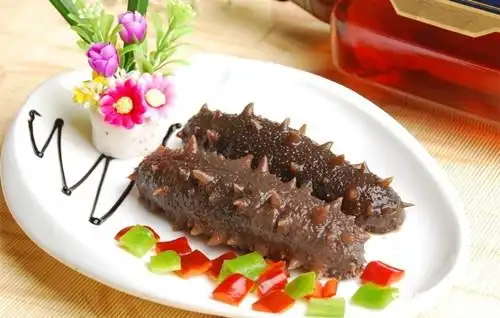 海参图片 海参的功效与作用