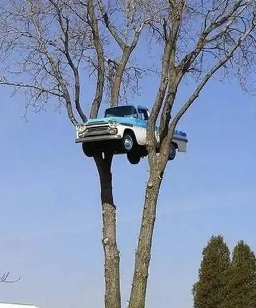 世界上有很多不可思议的事情,它们是这个世界上看试不可能发生的事情