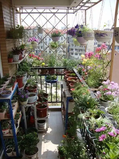 阳台这样一装还能多出一个小花园一年四季芳香四溢可香了