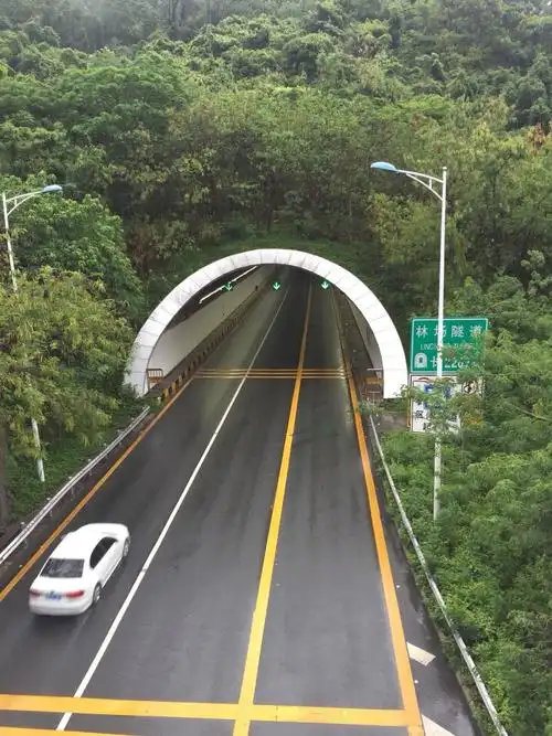 隧道洞口情况
