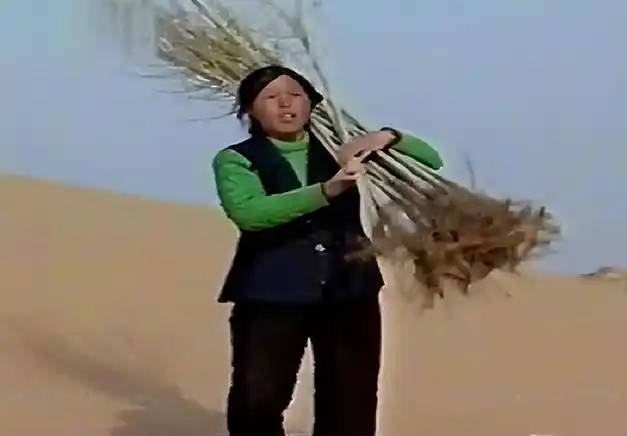 治沙需要树苗,买树苗得要钱,于是殷玉珍第一次回了娘家.