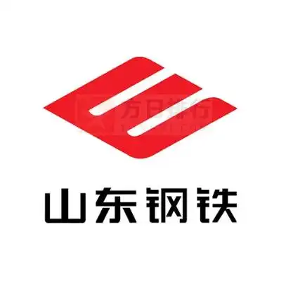 山东钢铁集团