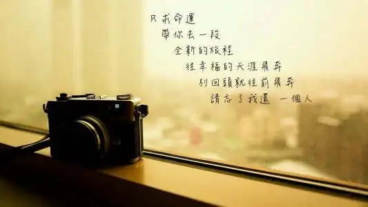 请忘了我还一个人