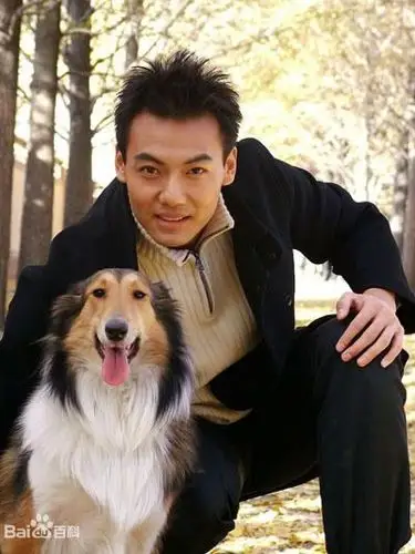 铁拳雄心-电影-高清在线观看-hao123影视