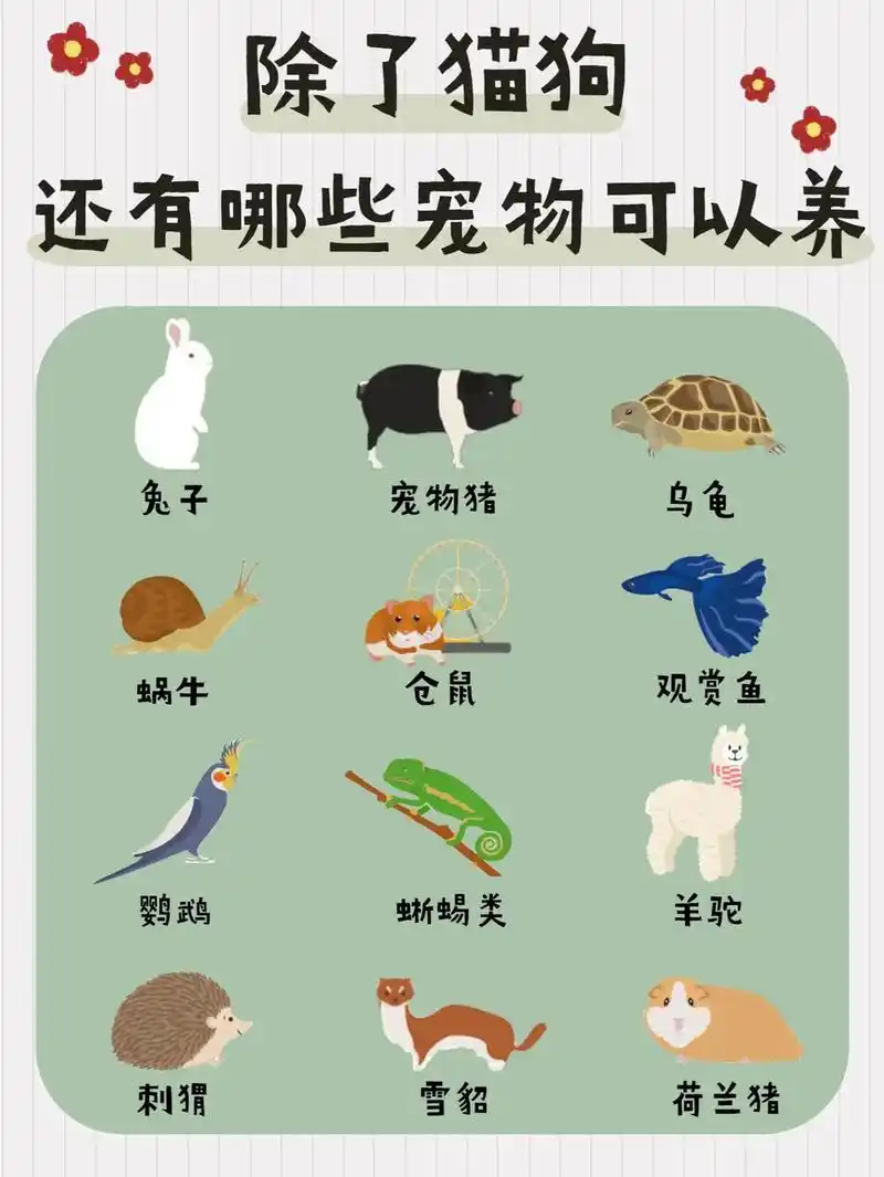 格局打开,除了猫狗,这些宠物也很棒!有很多宝子们过来问我,有 - 抖音