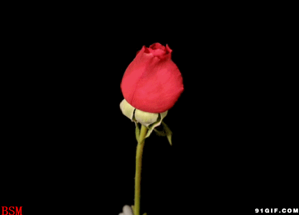 2,玫瑰花冠茶有哪些功效呢?