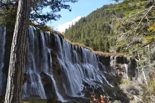 2019诺日朗瀑布_旅游攻略_门票_地址_游记点评,九寨沟旅游景点推荐