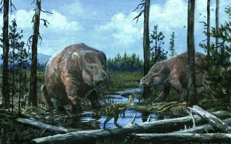 二齿兽类跨越大灭绝的兽族传奇