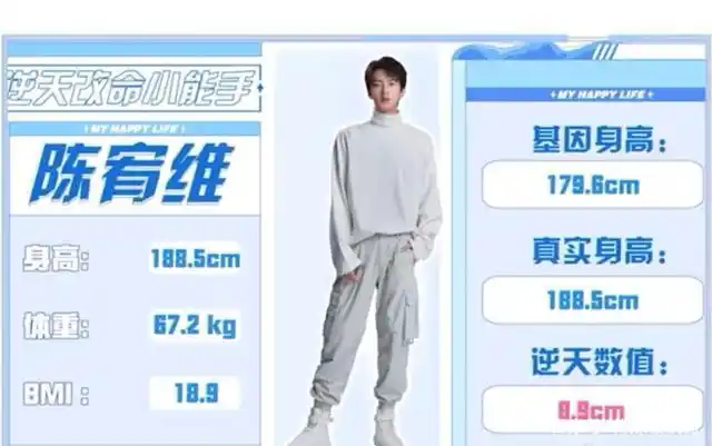 邓超鹿晗真实体重曝光身高双双缩水陈赫不仅肥胖还有骨质疏松