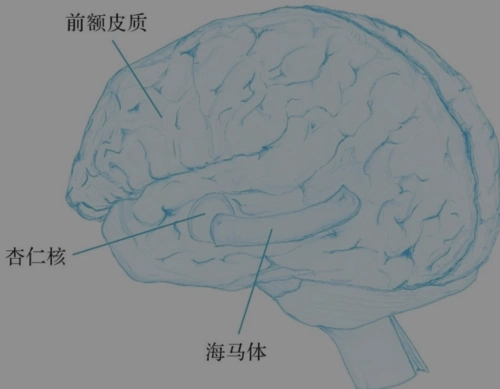 对于与日俱增的青少年焦虑指数父母们应该做些反思