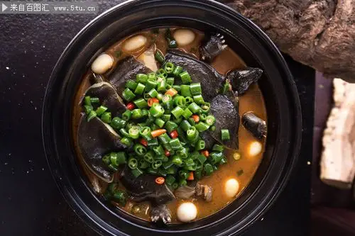 青椒煨甲鱼菜品图片