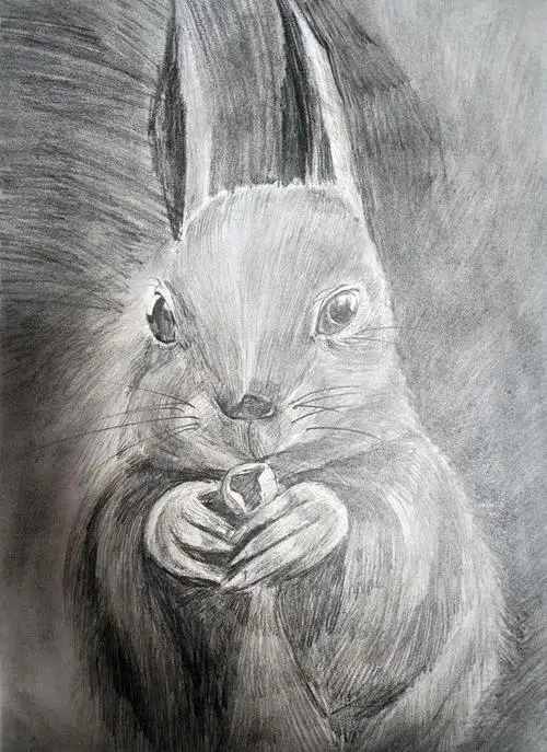 走进黑白灰的世界 | 小店区第二实验小学学生素描专题展|艺术_网易新