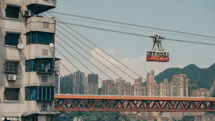 跟着疯狂的石头进入电影江湖探访重庆最疯狂的取景地