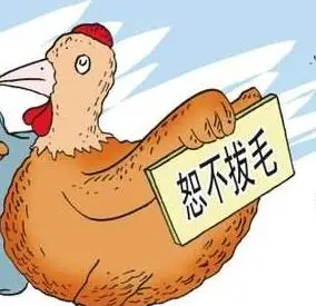 一般指中信银行,改行提额难度之高,速度之慢,像铁鸡一样一毛不拔,所以