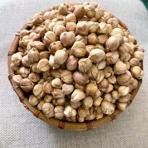 中药材白豆蔻白扣豆蔻无硫全干开胃消食无硫化湿行