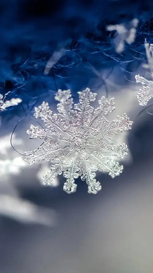 精致动人雪花高清图片手机壁纸