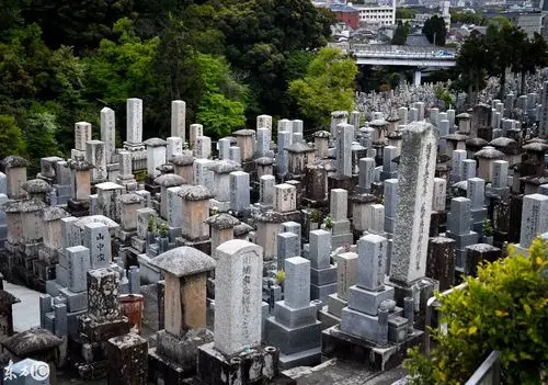 日本人的墓地,墓碑多为长方体.