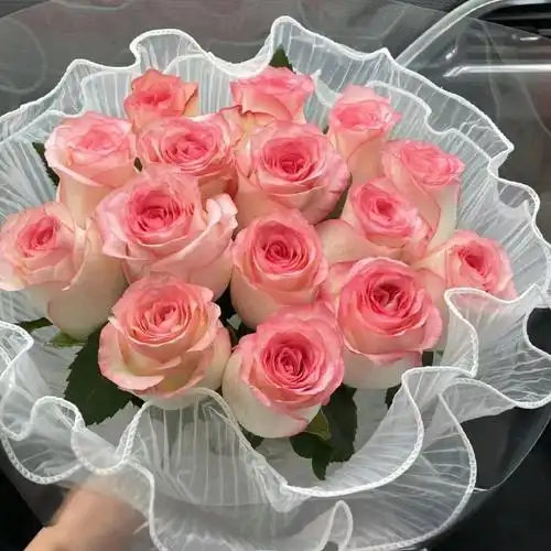 pdd【￥13.9起】玫瑰20支,多颜色选,收到坏了可赔付