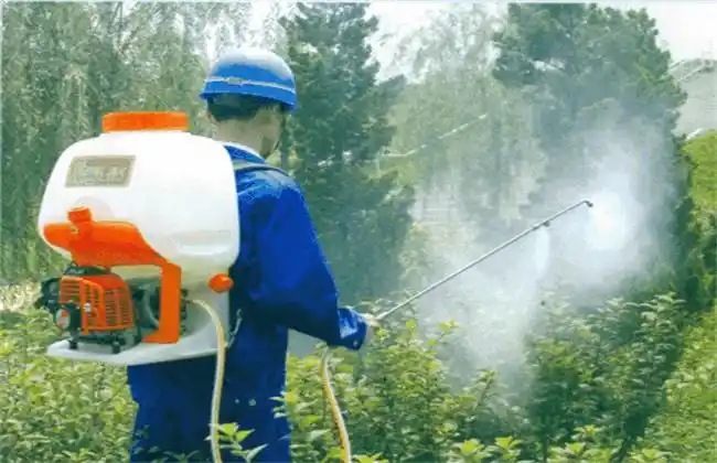 果树热天喷药注意些什么