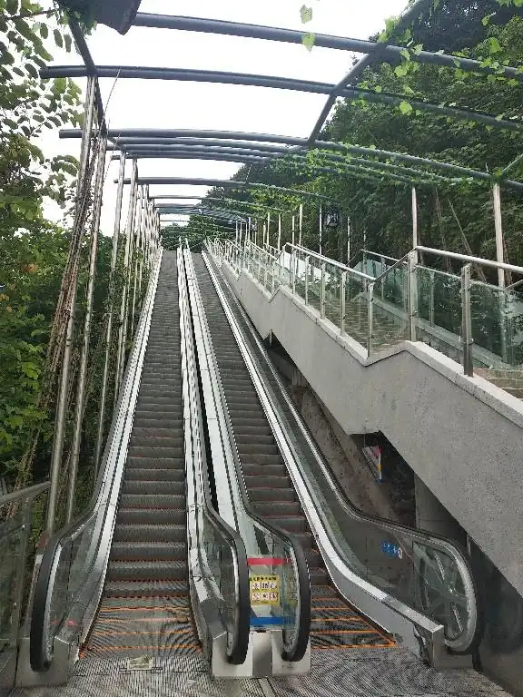 扶梯- 热门商品专区