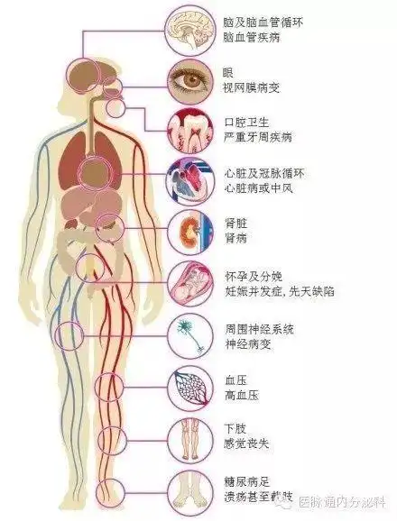超全内分泌系统知识点图解你值得拥有