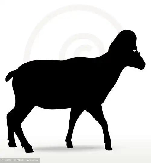 大角羊剪影在走路姿势