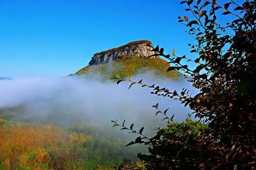 五女山,中国五女山诗词会长主播!摄影,创作,原创!