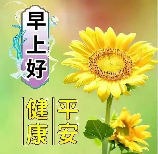 清晨友谊早安问候语图片文字今日早上好漂亮聊天问候图片